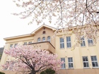 函館公園の桜と旧函館市立図書館