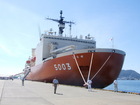 南埠頭　南極観測船「しらせ」入港