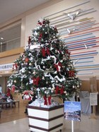 市立函館病院にもクリスマスの雰囲気が 01