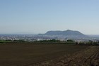 函館山と畑