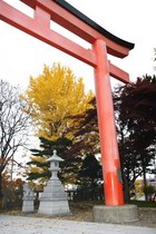 湯倉神社の銀杏
