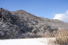 川汲峠の雪景色