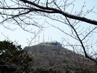 4月中旬　函館公園から函館山を望む