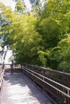 函館公園散策・バリアフリーの橋