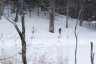 大沼プリンス敷地内で歩くスキー
